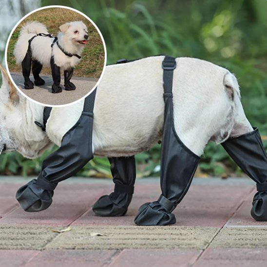 Bottes pour chien | Imperméables & Antidérapantes - Pattes & pelages