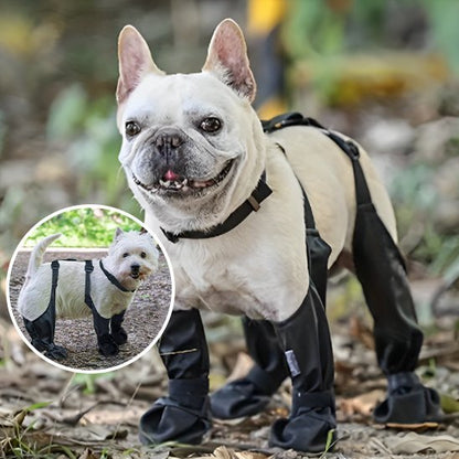 Bottes pour chien | Imperméables & Antidérapantes - Pattes & pelages
