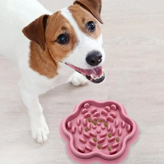 Gamelle chien | Premium - Pattes & pelages