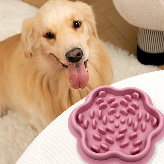 Gamelle chien | Premium - Pattes & pelages