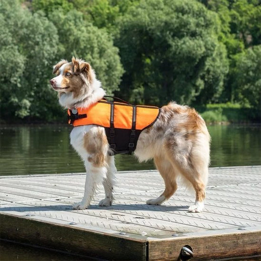 Gilet de sauvetage Chien | Flottamax - Pattes & pelages