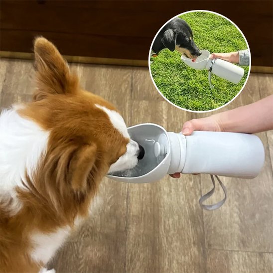 Gourde chien | Portable Anti - fuite - Pattes & pelages