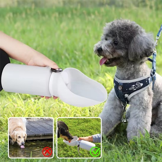 Gourde chien | Portable Anti - fuite - Pattes & pelages