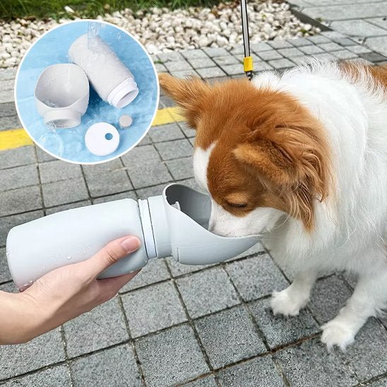 Gourde chien | Portable Anti - fuite - Pattes & pelages