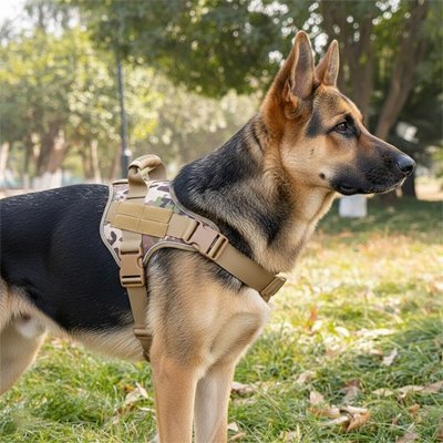 Harnais chien confortable | Anti - traction - Pattes & pelages