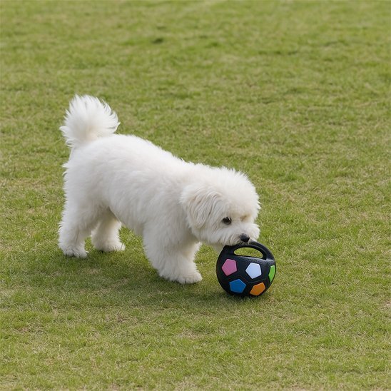 Jouet chien | Durable et Interactif - Pattes & pelages