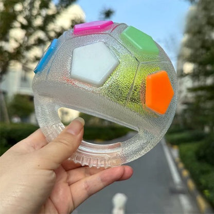 Jouet chien | Durable et Interactif - Pattes & pelages