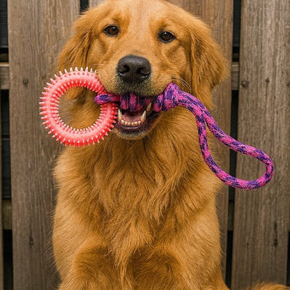 Jouet chien | Durable & Stimulant - Pattes & pelages