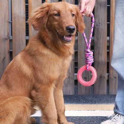 Jouet chien | Durable & Stimulant - Pattes & pelages