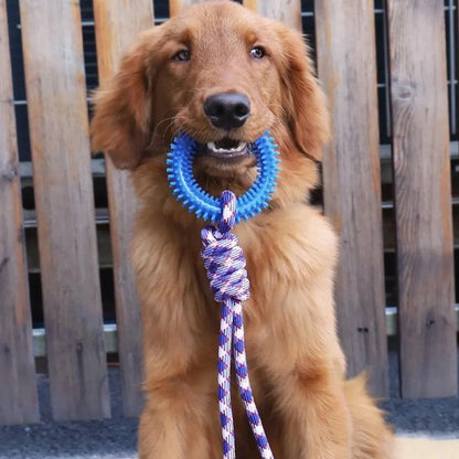 Jouet chien | Durable & Stimulant - Pattes & pelages