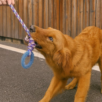 Jouet chien | Durable & Stimulant - Pattes & pelages