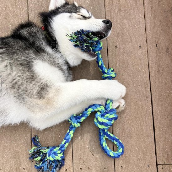 Jouet chien indestructible | RobuDog - Pattes & pelages