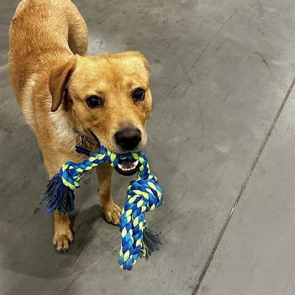 Jouet chien indestructible | RobuDog - Pattes & pelages