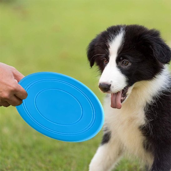 Jouet chien | Intellistim résistant - Pattes & pelages