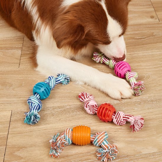 Jouet chien | Interactif résistant - Pattes & pelages
