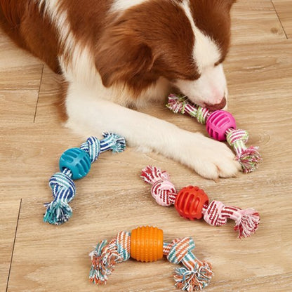 Jouet chien | Interactif résistant - Pattes & pelages