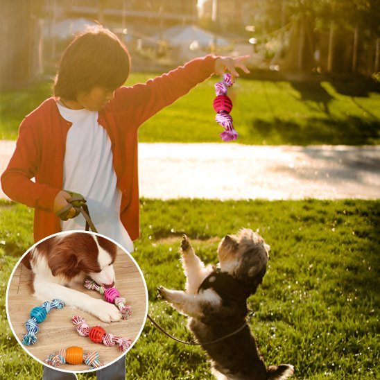 Jouet chien | Interactif résistant - Pattes & pelages