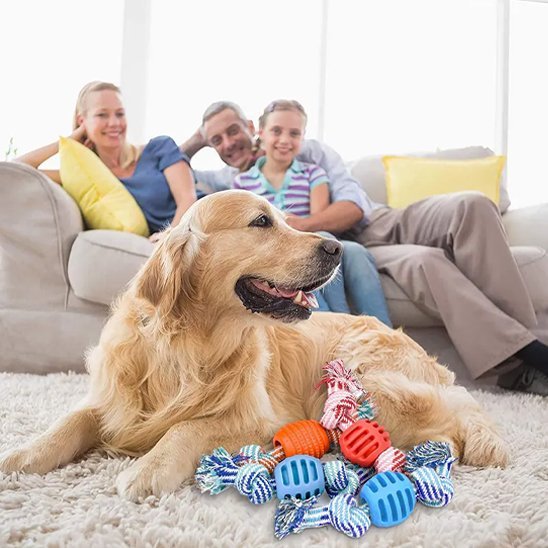 Jouet chien | Interactif résistant - Pattes & pelages
