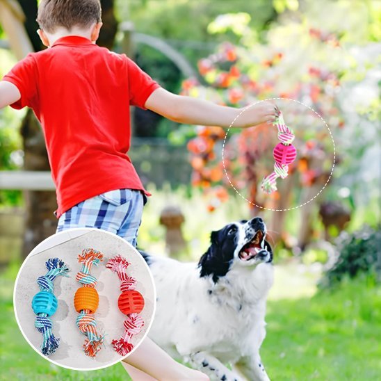 Jouet chien | Interactif résistant - Pattes & pelages