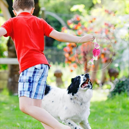Jouet chien | Interactif résistant - Pattes & pelages