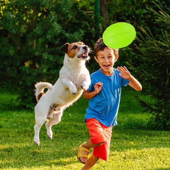 Jouet chien | Résistant & Stimulant - Pattes & pelages