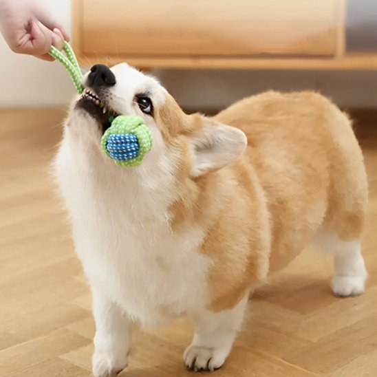 Jouet chien | Ultra - résistant - Pattes & pelages