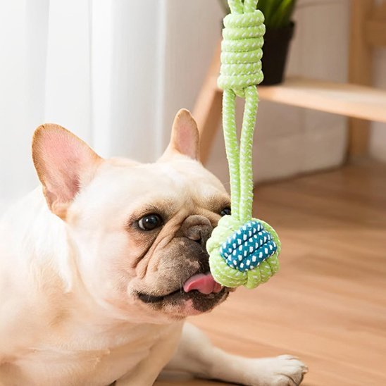 Jouet chien | Ultra - résistant - Pattes & pelages