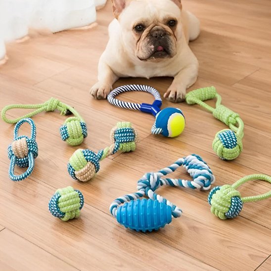 Jouet chien | Ultra - résistant - Pattes & pelages