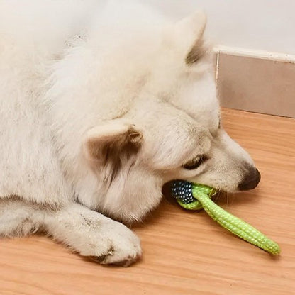 Jouet chien | Ultra - résistant - Pattes & pelages