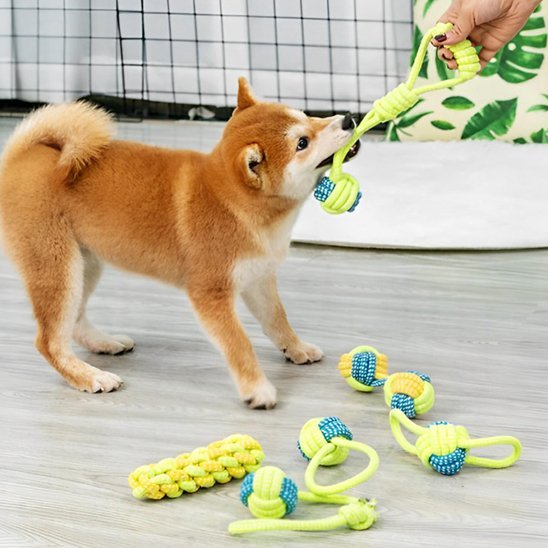 Jouet chien | Ultra - résistant - Pattes & pelages