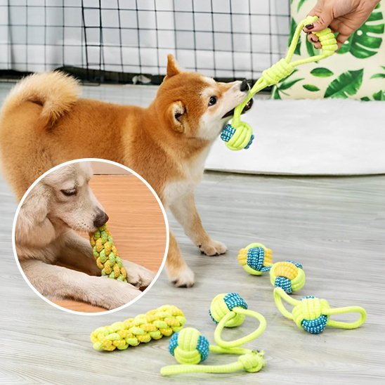 Jouet chien | Ultra - résistant - Pattes & pelages