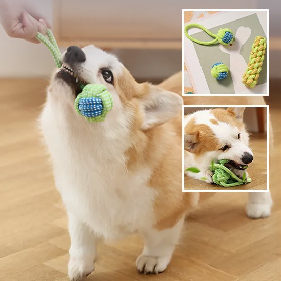 Jouet chien | Ultra - résistant - Pattes & pelages