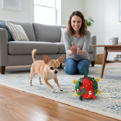 Jouet pour chien | Robust Intelligence - Pattes & pelages