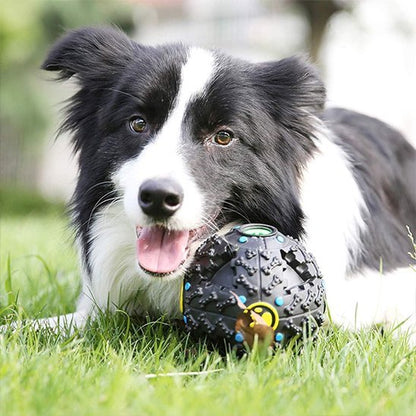Jouet pour chien | Ultra - Résistant - Pattes & pelages