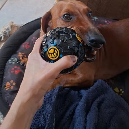 Jouet chien robuste | Ultra-Résistant - Pattes & pelages