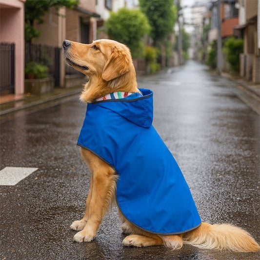 Manteau chien | Imperméable Hiver - Pattes & pelages