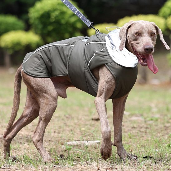 Manteau pour chien | Imperméable Confort - Pattes & pelages