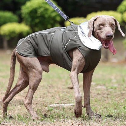 Manteau pour chien | Imperméable Confort - Pattes & pelages
