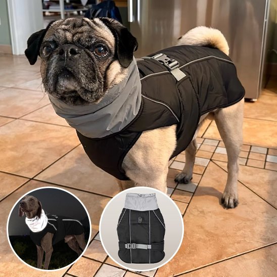 Manteau pour chien | Imperméable Confort - Pattes & pelages