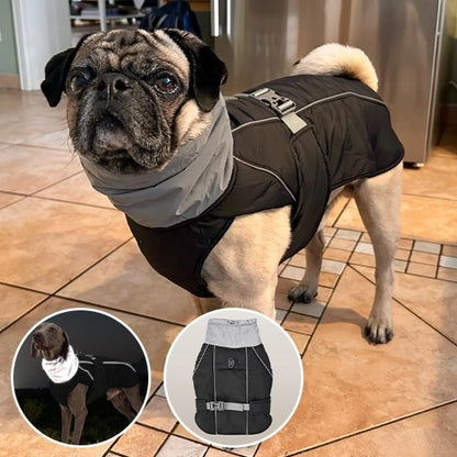 Manteau pour chien | Imperméable Confort - Pattes & pelages