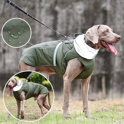 Manteau pour chien | Imperméable Confort - Pattes & pelages