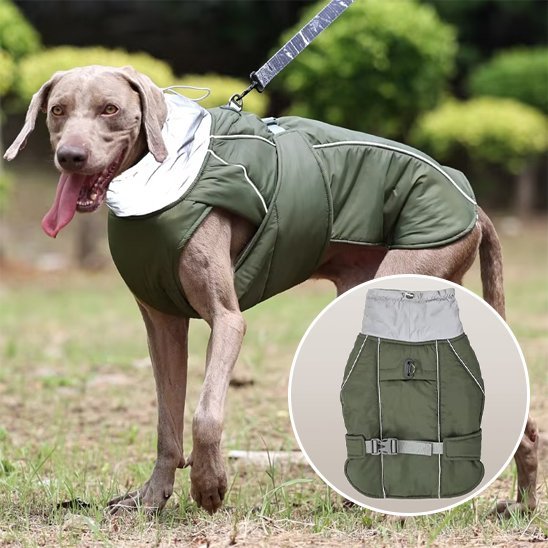 Manteau pour chien | Imperméable Confort - Pattes & pelages