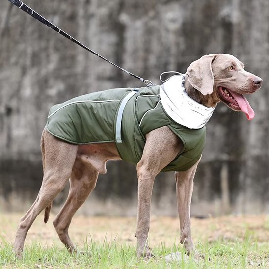 Manteau pour chien | Imperméable Confort - Pattes & pelages