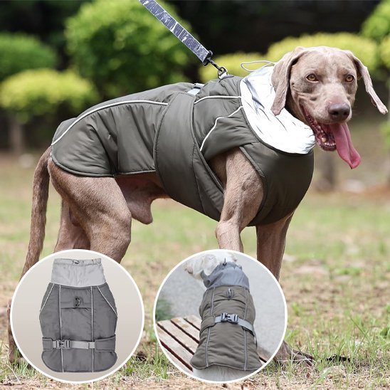 Manteau pour chien | Imperméable Confort - Pattes & pelages