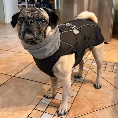 Manteau pour chien | Imperméable Confort - Pattes & pelages