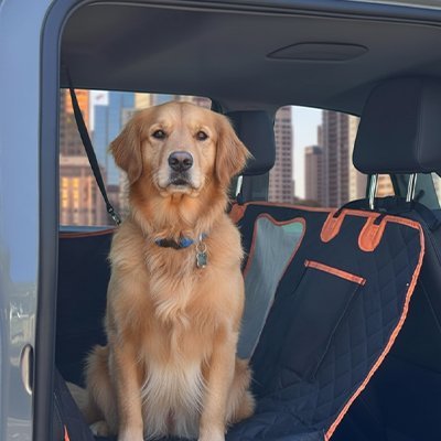 Protection chien voiture | Imperméable - Pattes & pelages