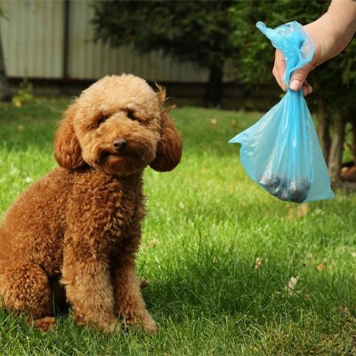 Sacs à Crotte jetables| EcoPet - Pattes & pelages